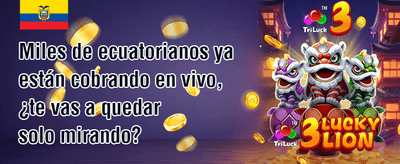 Premio por Referir Amigos promotion
